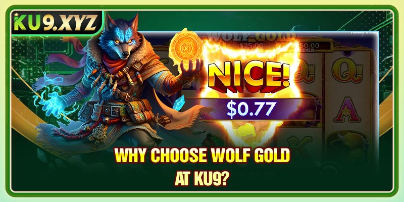Why Choose Wolf Gold at KU9?